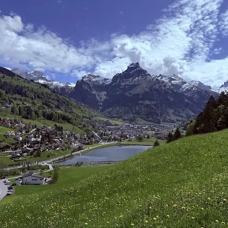 Apartment Cozy With And Mountain View Engelberg